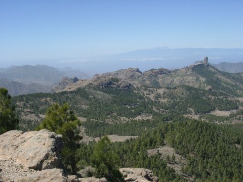 beim Pozo de las Nieves (1915m): Blick zum Roque Nublo (rechts) und Teide (ganz hinten)
